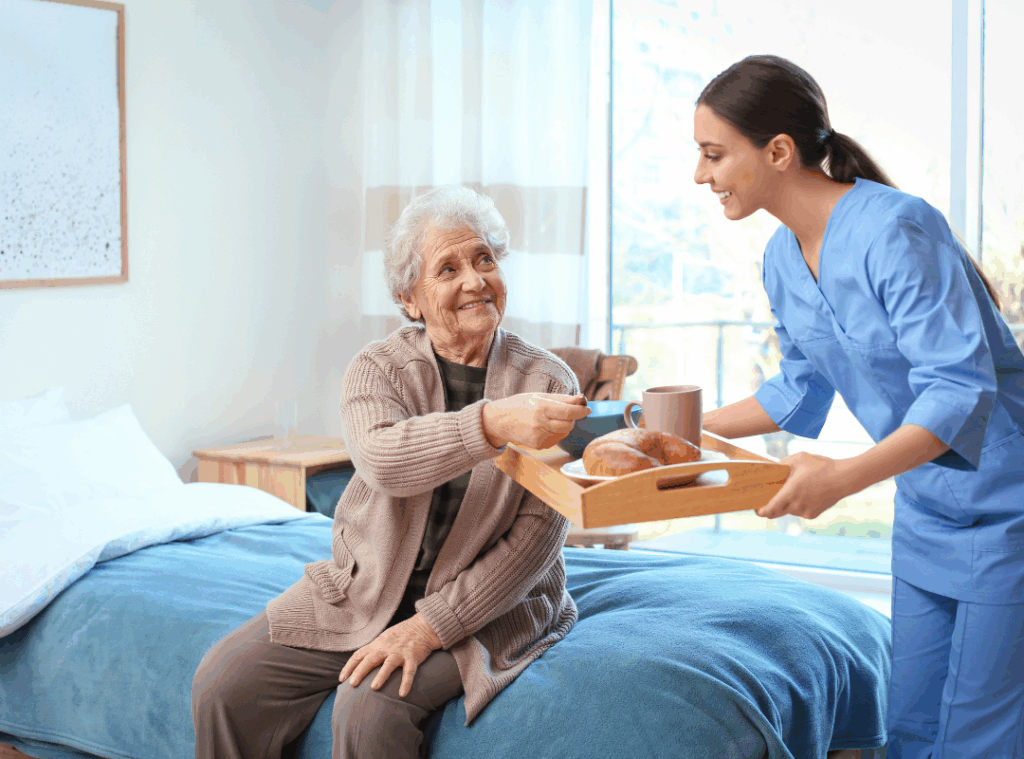 hospice plan of care